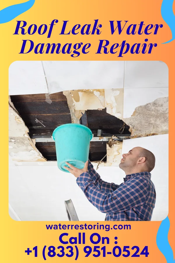 Roof Leak Water Damage Repair in Bellefontaine Neighbors, MO